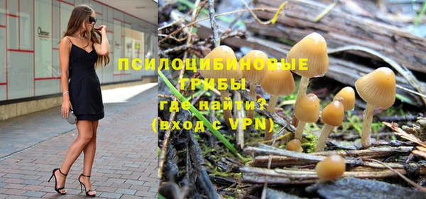 хмурый Горнозаводск