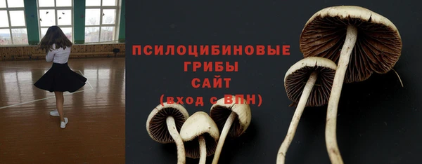 хмурый Горнозаводск