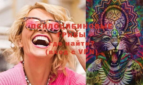 МДМА Горняк